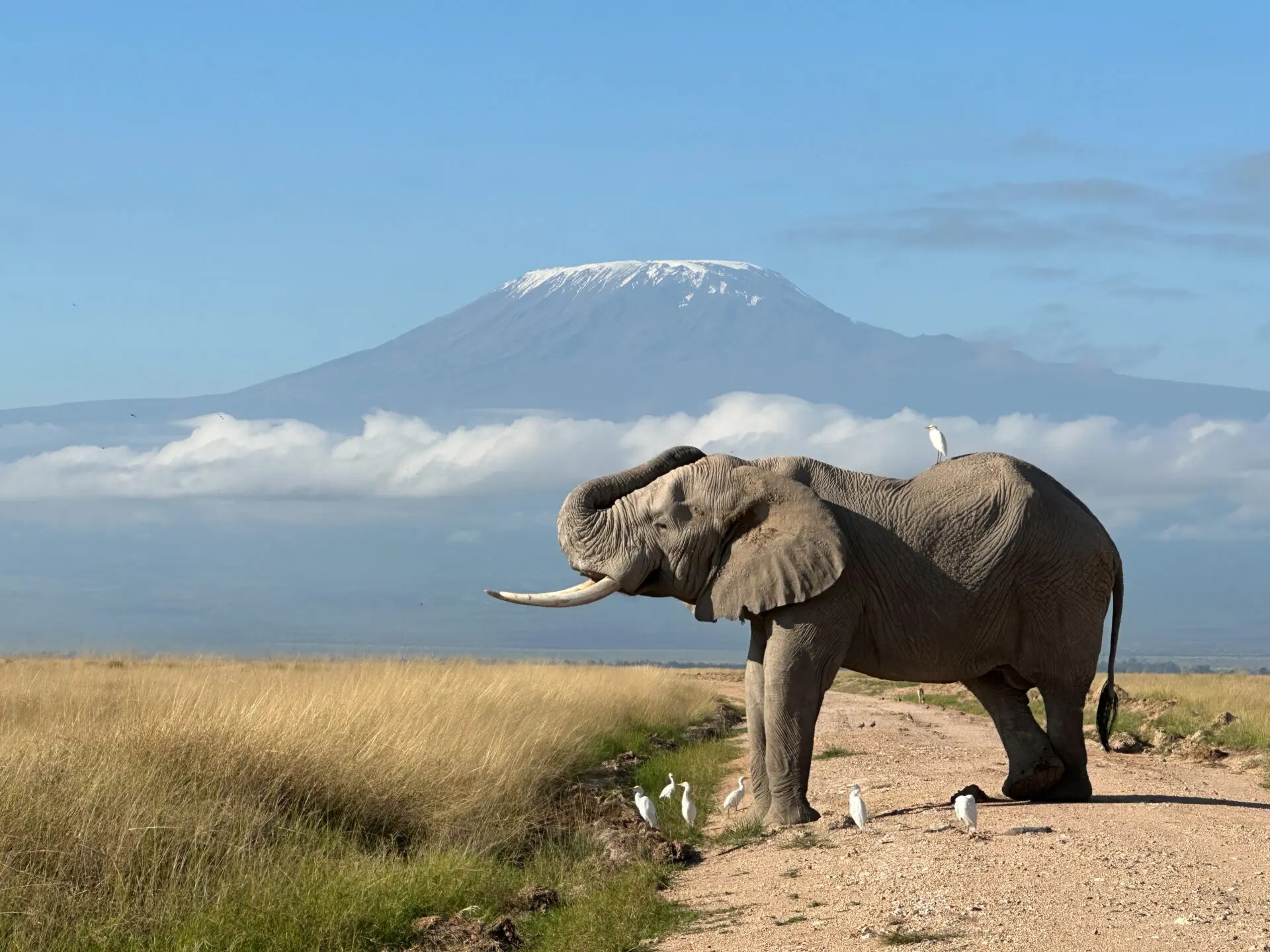 imgi_195_Kenya-Safari-Tours-2