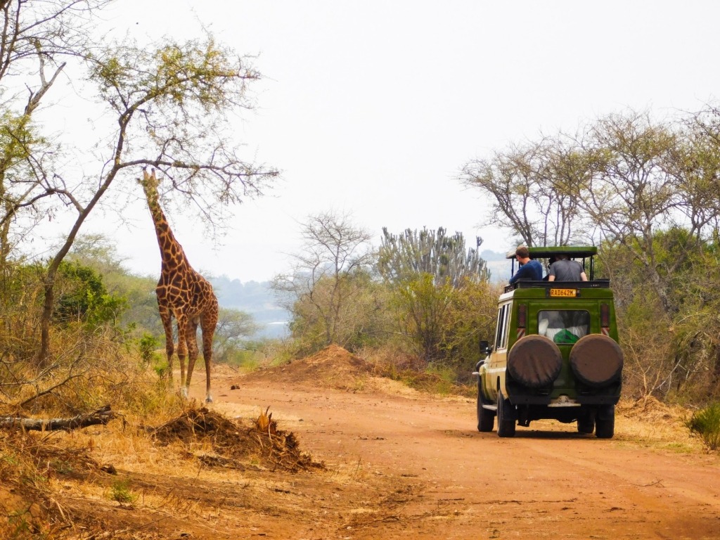 imgi_204_Akagera-Activities-Top-Things-to-Do-1024×768