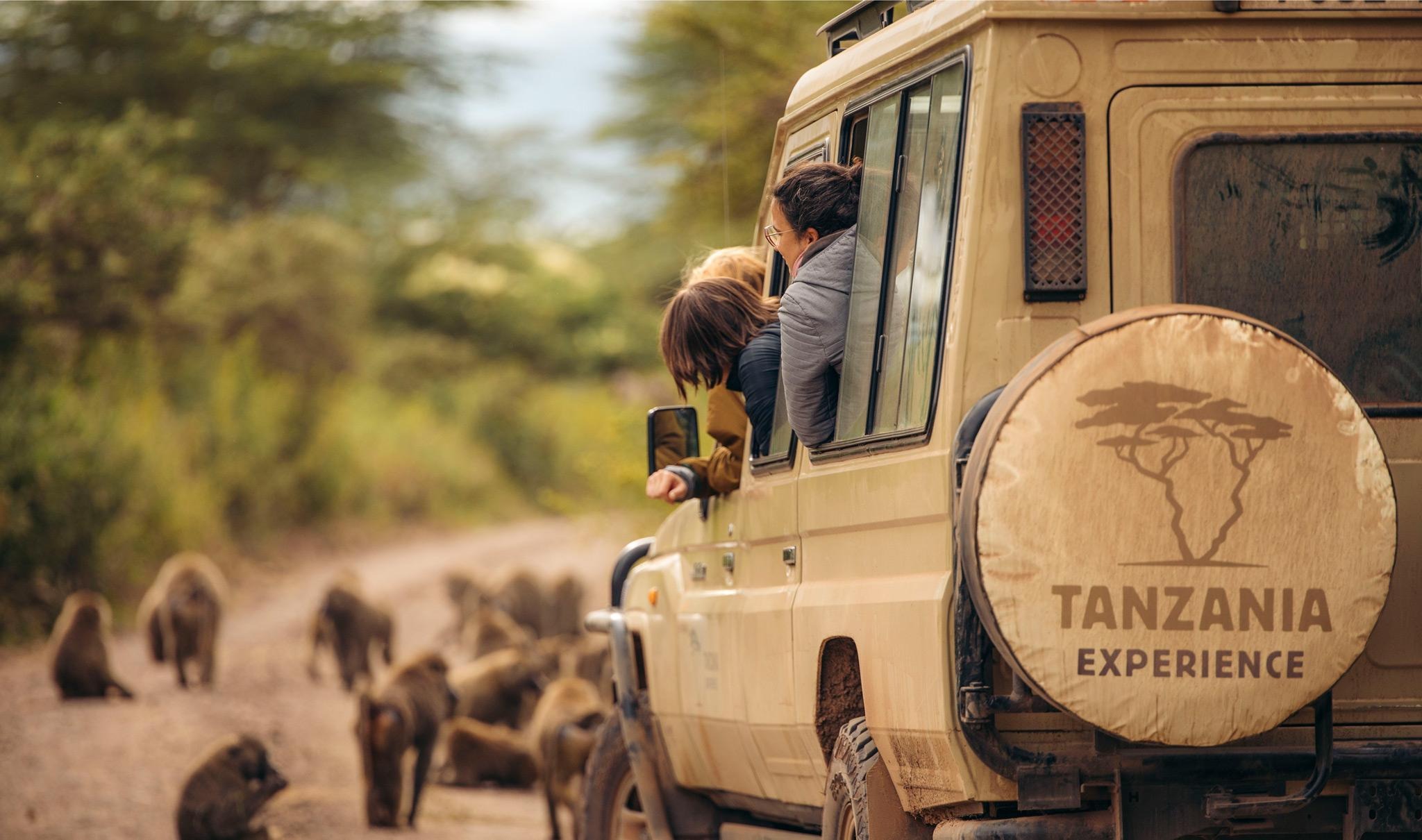 imgi_242_tanzania-experience-vehicle-serengeti